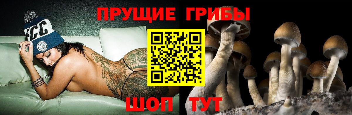 Галлюциногенные грибы прущие грибы Ишим
