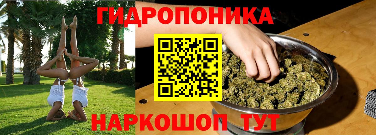 Бошки Шишки гибрид Ишим